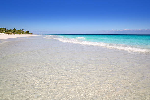 istock beach paradise white sand turquoise Tulum 505674418