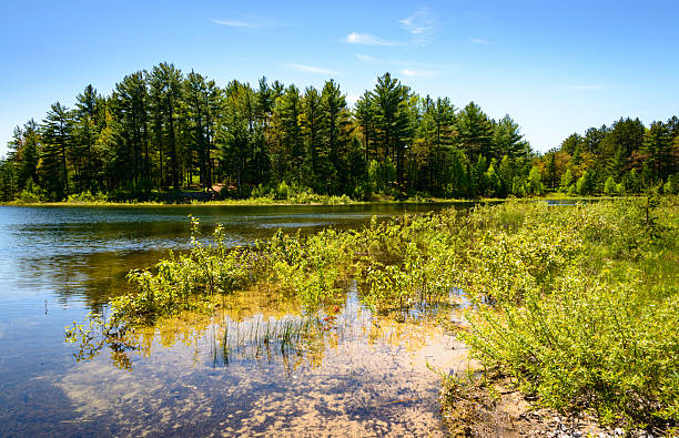 istock Pictured Rocks National Lakeshore 505682148