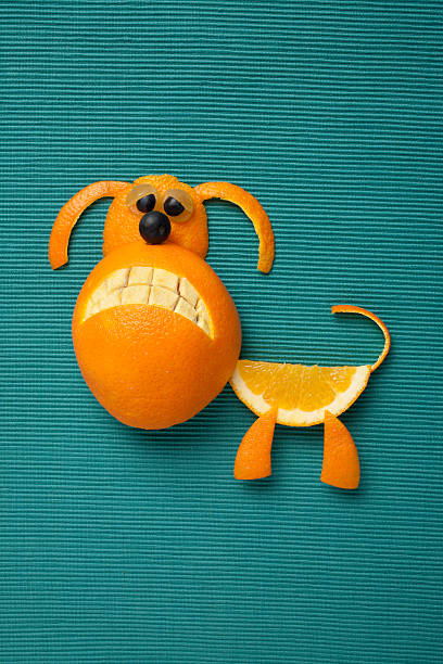 istock Dog made of orange and grape 505686378