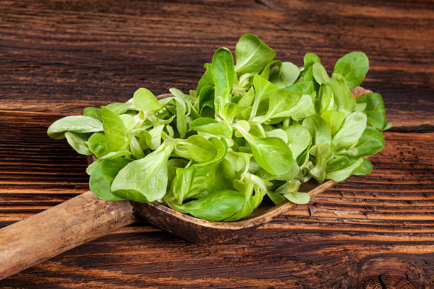 istock Fresh green lamb's lettuce salad. 505687606