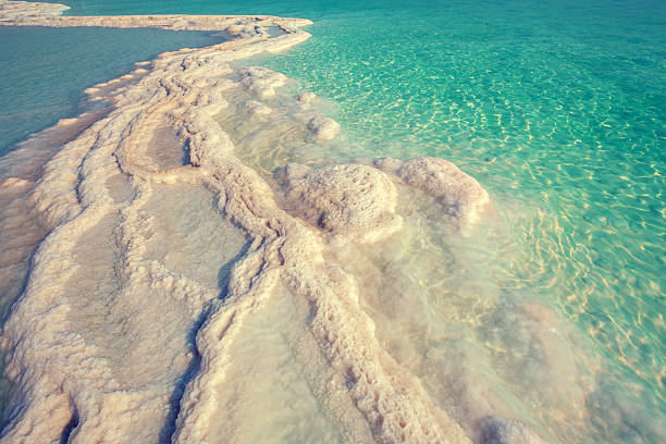 istock Texture of Dead sea. Salt sea shore 505691946