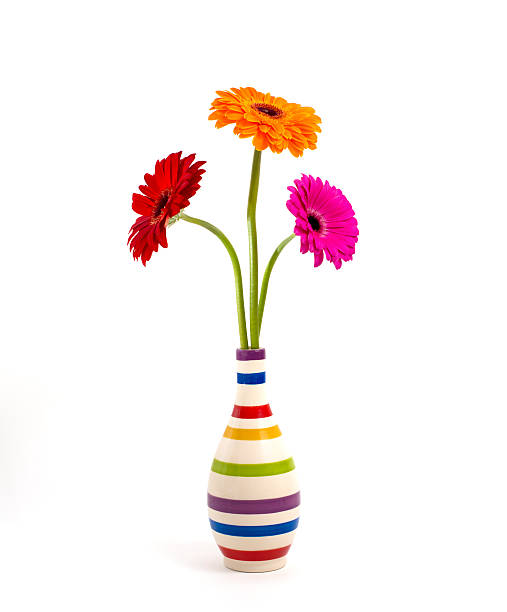 istock gerbera flowers in a vase isolated 505692192