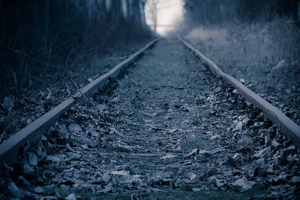 Railwayrails in the high forest alley - winter sunset time