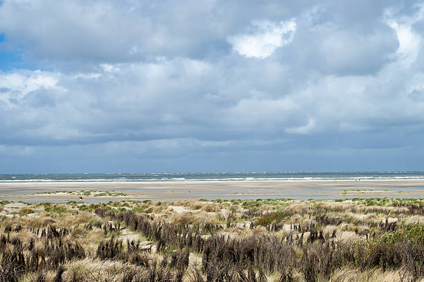 Dunescape Borkum Island, Germany