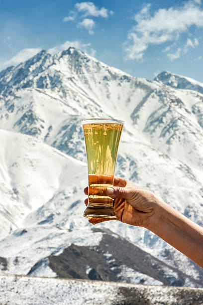 istock Raise one's glass with beer 505715074