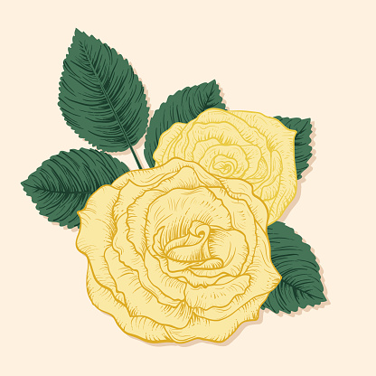 Hand Drawn Vintage Style Flowers. Yellow Roses