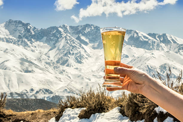 istock Raise one's glass with beer 505716142