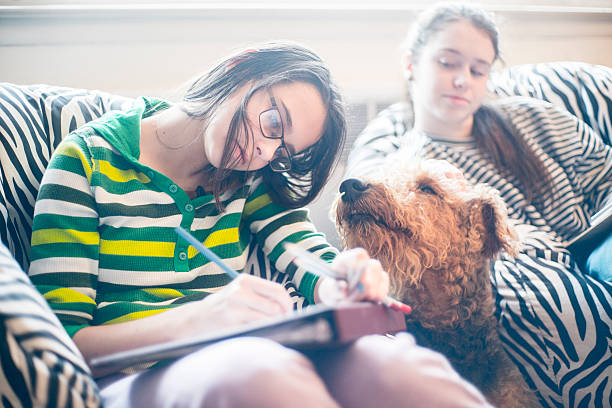 istock Two sisters drawing in the living room 505716848