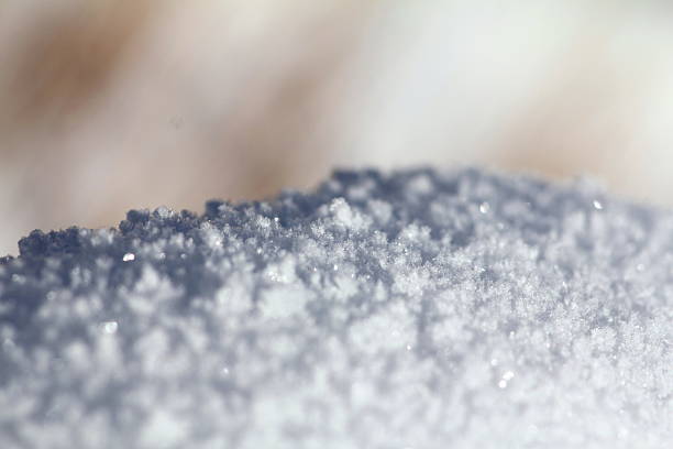 istock Snow flakes on snow hill 505718960