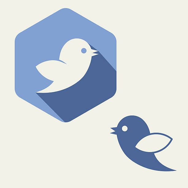 flat blue,  bird twitter social media web or internet icon - twitter 幅插畫檔、美工圖案、卡通及圖標