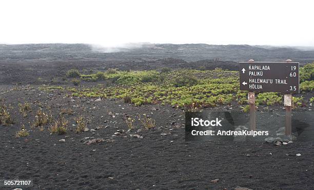 Trailmarker A Cratere Di Haleakala - Fotografie stock e altre immagini di Ambientazione esterna - Ambientazione esterna, Cespuglio, Colore verde