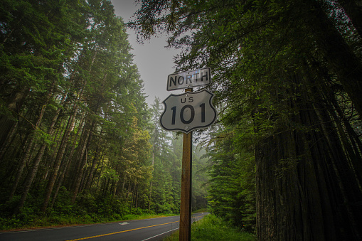 Redwood Drive along Highway 101 in Northern California was one of the most amazing experiences of my life.