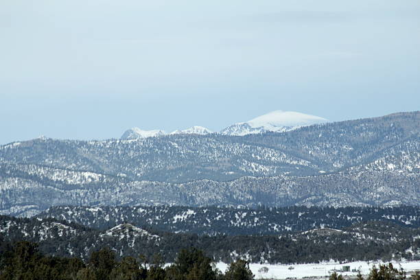 istock Snowy hills and trees 505721444