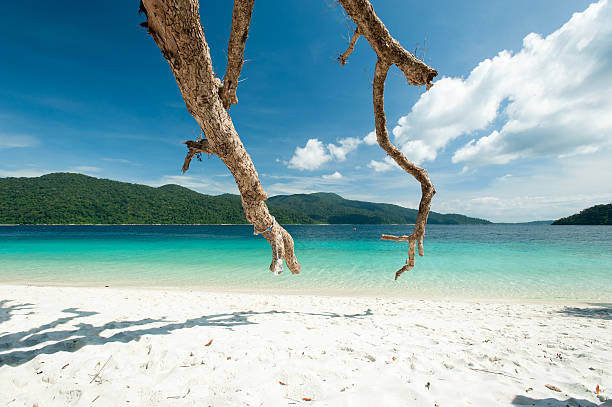 Beautiful Island and turquoise color sea,Adang-Rawee Island ,Tha Beautiful Island and turquoise color sea,Adang-Rawee Island ,Thailand tarutao stock pictures, royalty-free photos & images