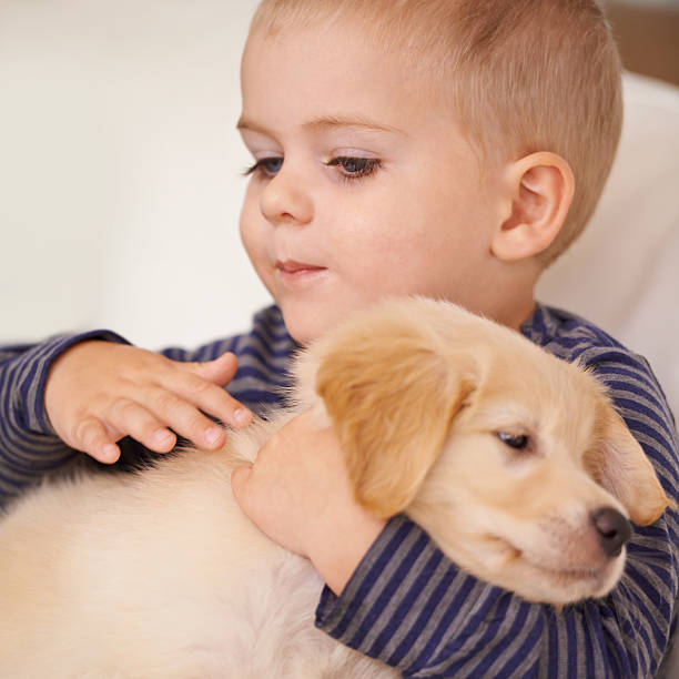 istock Being gentle with the new puppy 505721701