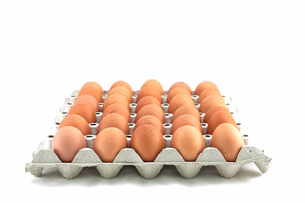 Chicken eggs in a cardboard on white stock photo