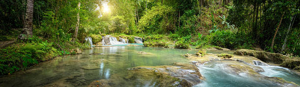 Deep forest waterfall  National Park. Panoramic view Deep forest waterfall  National Park  island of Siquijor. Philippines siquijor island stock pictures, royalty-free photos & images