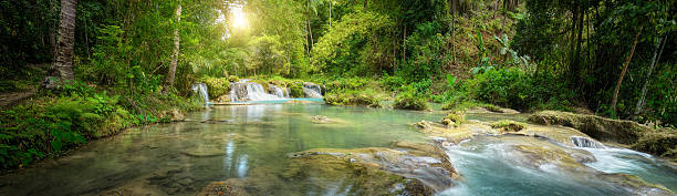 wodospad w głębokim lesie park narodowy.  panoramicznym widok - stream river forest waterfall zdjęcia i obrazy z banku zdjęć