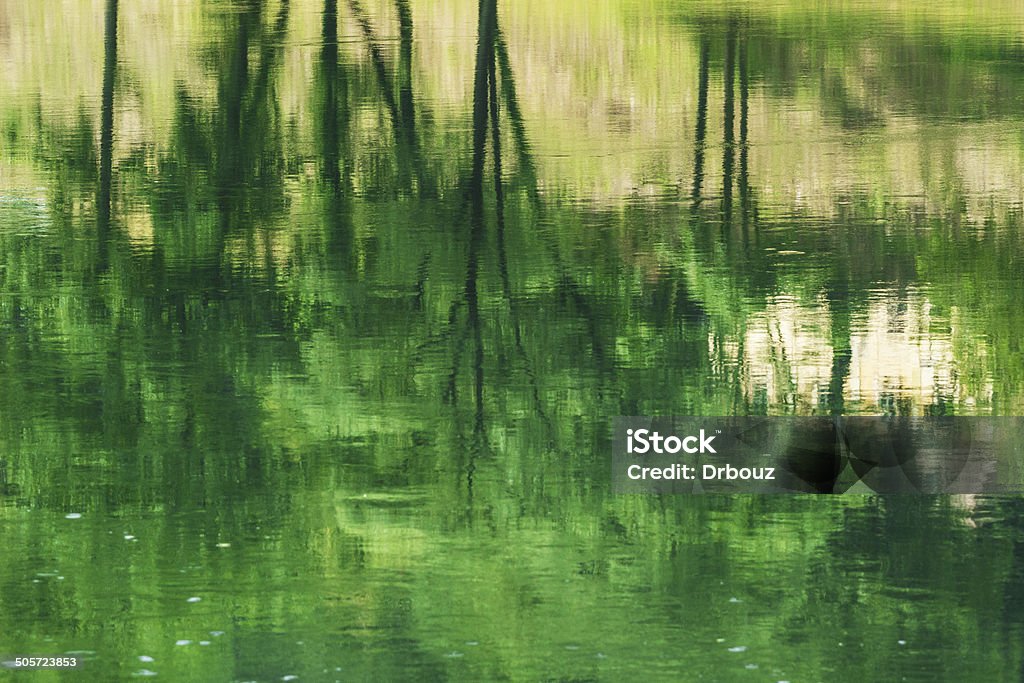 River Drina - Serbian Bosnian borderline Reflections in river surface; river Drina - Serbia and Bosnia borderline; Color Image Stock Photo