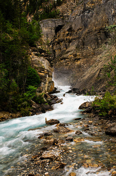 istock Hiking Berg Lake Trail 505723993