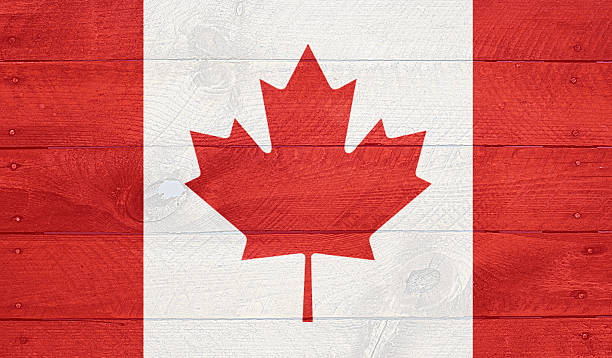 istock Canada flag on wood boards with nails 505727273