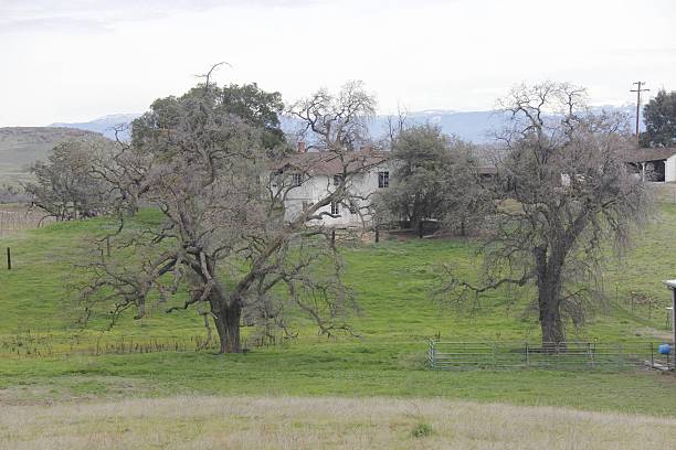 istock old two story house behind oak trees 505744678