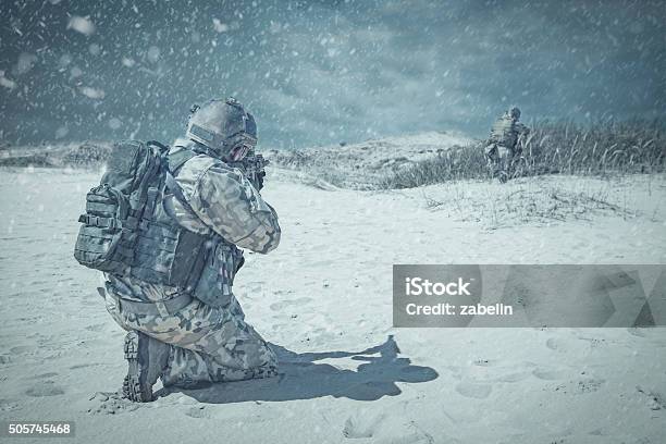 Troopers Winter Storm Stock Photo - Download Image Now - Snow, Army Soldier, Military