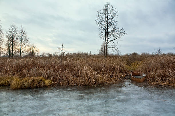 istock Boat near the shore 505747248