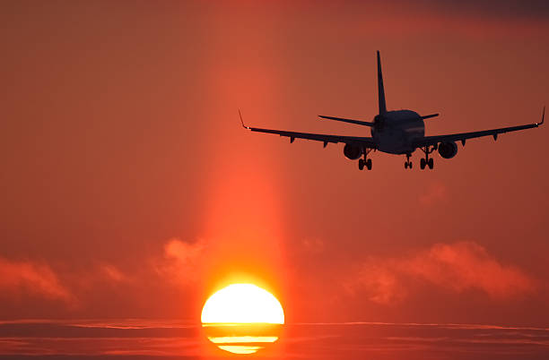 istock Airplane landing at sunset 505753260