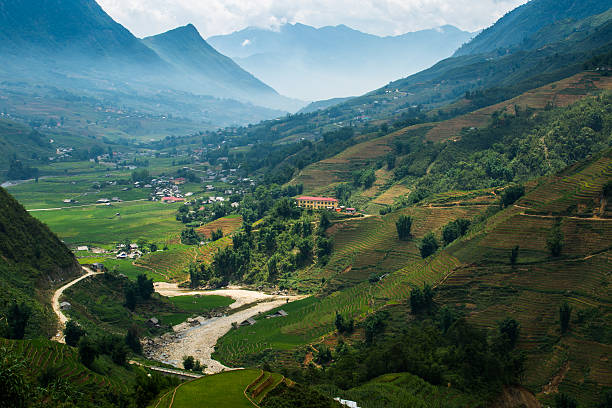 istock Rice field terraces at Sapa Vietnam 505768689