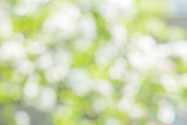 istock Abstract background with white and green spots 505769392