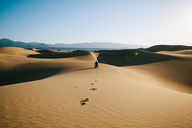 istock Lost and found in the desert 505770107
