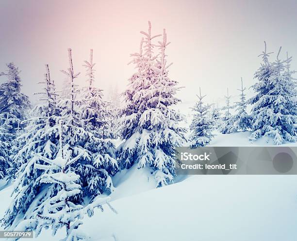 Wonderful Winter Landscape Stock Photo - Download Image Now - Atmospheric Mood, Austria, Backgrounds