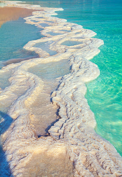 Texture of Dead sea. Salt sea shore stock photo