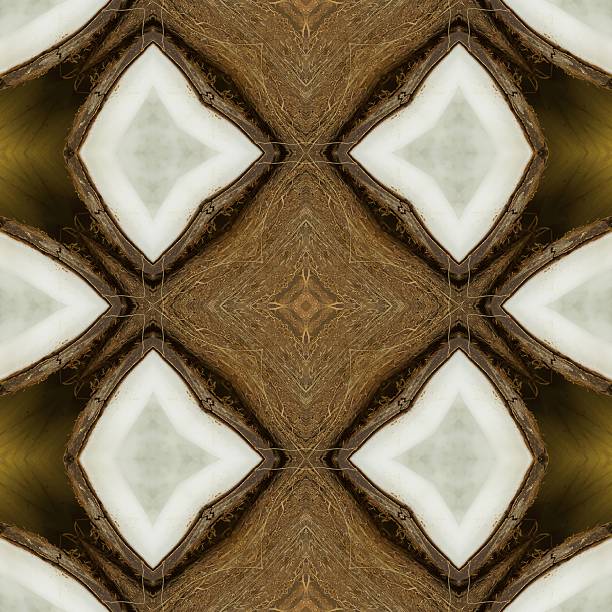 istock Texture coconut. Tropical motif print. 505772182