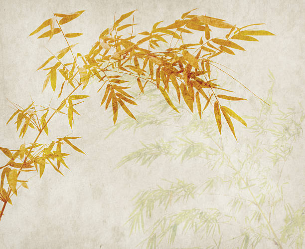 istock bamboo on old grunge paper texture background 505772611