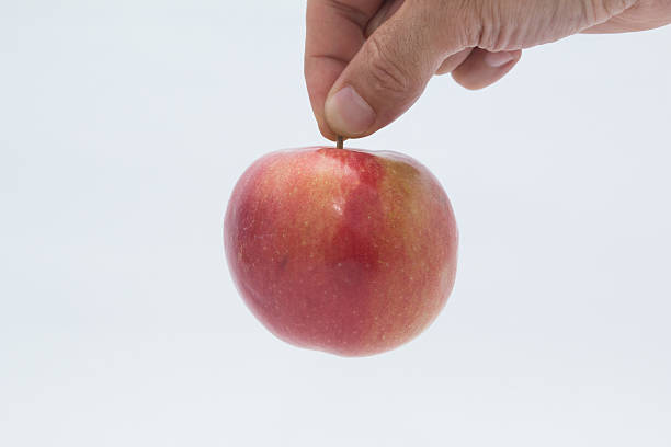 apple capturados por un hombre de la mano. - macintosh apple fotografías e imágenes de stock