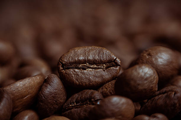 caffè freschi chicchi di caffè su legno pronti per miscela di caffè - coffeetree foto e immagini stock