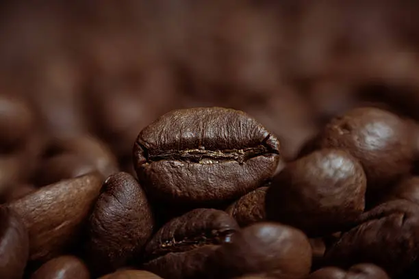 Photo of Coffee fresh coffee beans on wood ready to brew coffee