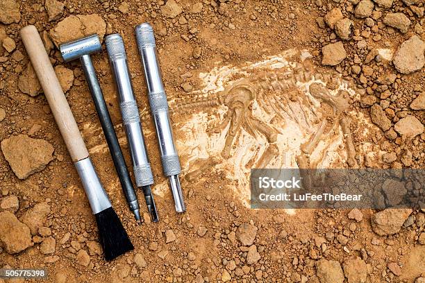 Skeleton And Archaeological Tools Stock Photo - Download Image Now - Archaeology, Dinosaur, Discovery