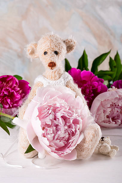 istock Teddy bear Ballerina 505776170