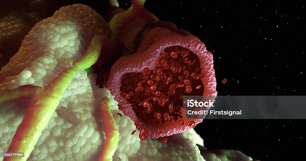 Microscopic Arteries Vascular System Full CGI human Arteries, Veins and blood. Stressed or broken Veins under microscope. Extrem detailed 4K size. Microscopic Vascular System. Blood Stock Photo