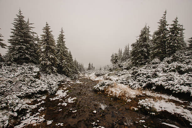 istock Dark river in the winter mountain forest. 505778442