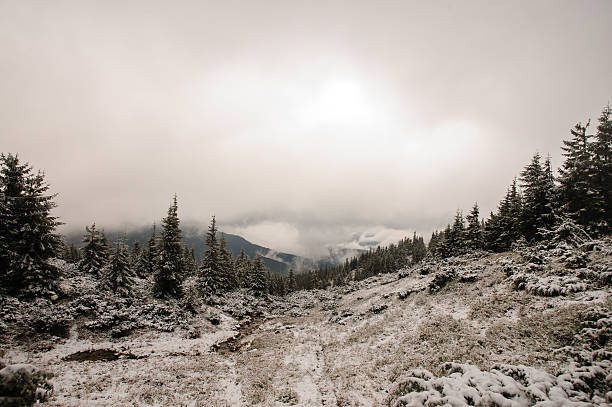 istock Beautiful winter landscape in mountains 505778468