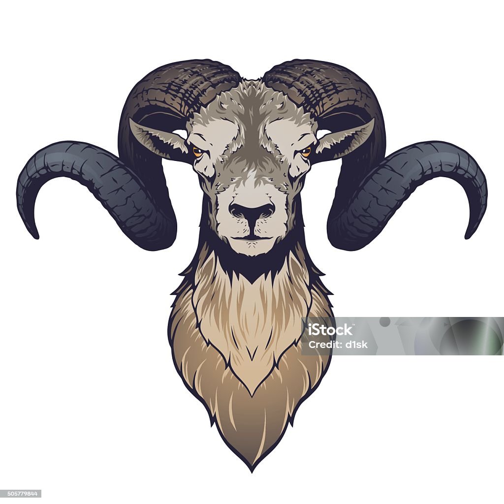 Ram Head Illustration Stock Illustration - Download Image Now ...