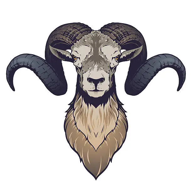 Vector illustration of Ram head illustration