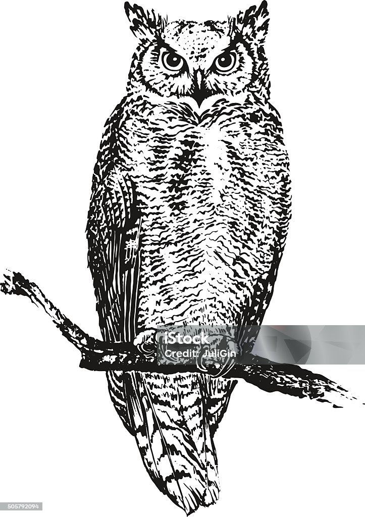The Owl Sitting On A Branch Vector Illustration Stock Illustration -  Download Image Now - Owl, Drawing - Activity, Illustration - iStock