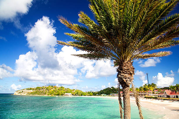 Long Bay view in a sunny day - Antigua