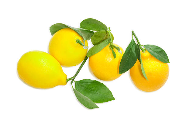 istock Several lemons with twigs and leaves on a light background 505792556