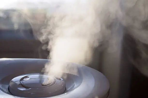 Photo of Vapor from humidifier in the morning light